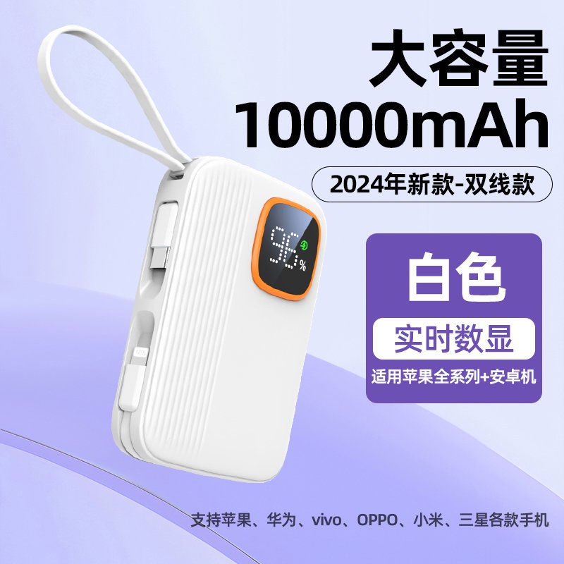 Dual Built-in Cable 10K/20K